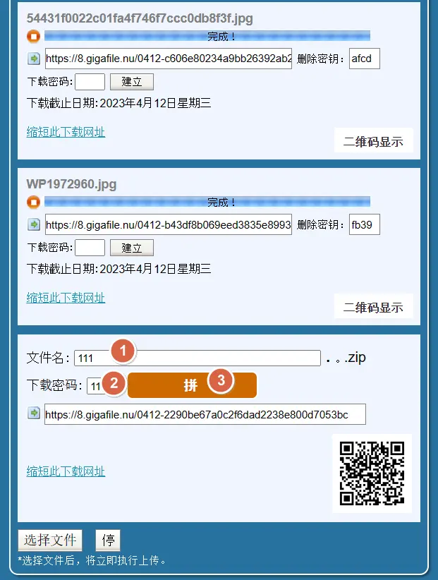 GigaFile05