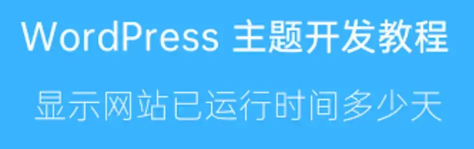 WP添加运行时间