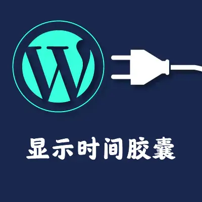 wp显示时间胶囊